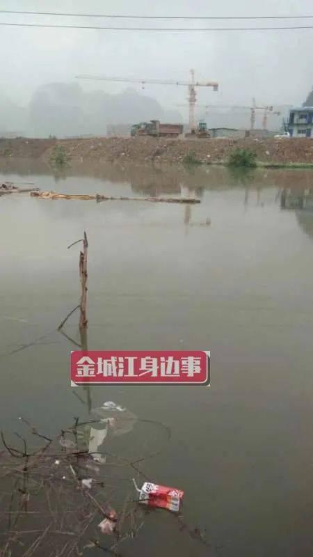 河池市网友爆料案件最新,最新案件细节曝光，真相令人震惊！